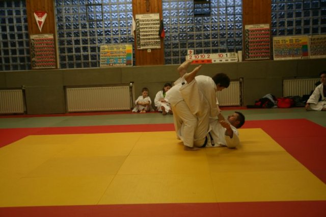 Judolehrgang Bodentechniken / SV / Treechallenge