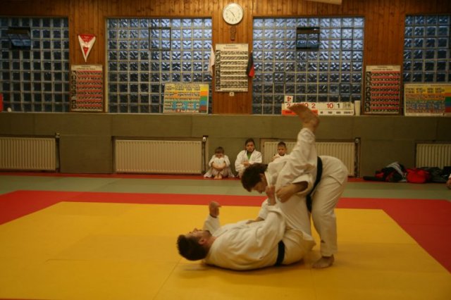 Judolehrgang Bodentechniken / SV / Treechallenge