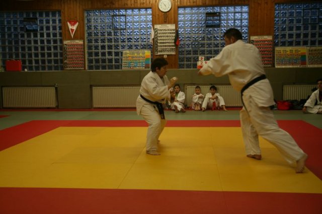 Judolehrgang Bodentechniken / SV / Treechallenge