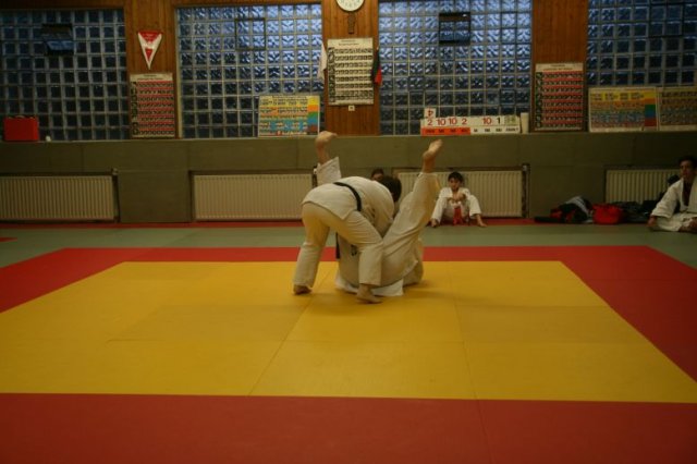 Judolehrgang Bodentechniken / SV / Treechallenge