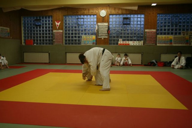 Judolehrgang Bodentechniken / SV / Treechallenge