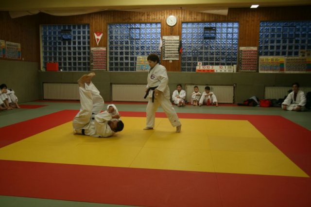 Judolehrgang Bodentechniken / SV / Treechallenge