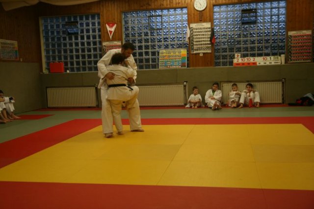 Judolehrgang Bodentechniken / SV / Treechallenge