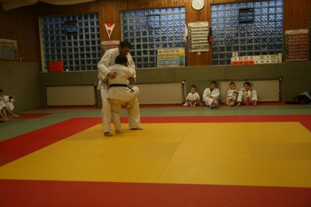 Judolehrgang Bodentechniken / SV / Treechallenge