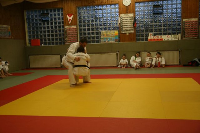 Judolehrgang Bodentechniken / SV / Treechallenge