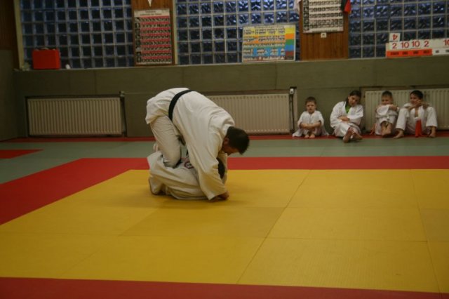 Judolehrgang Bodentechniken / SV / Treechallenge