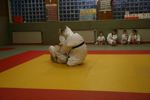 Judolehrgang Bodentechniken / SV / Treechallenge