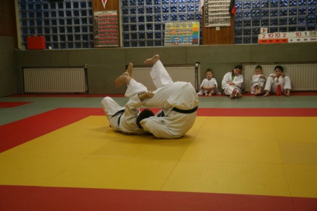 Judolehrgang Bodentechniken / SV / Treechallenge