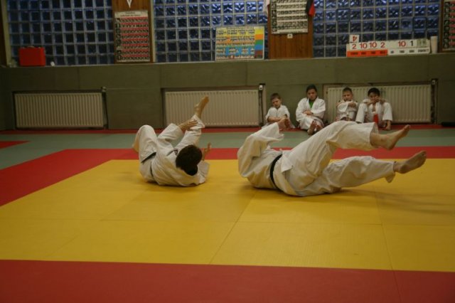 Judolehrgang Bodentechniken / SV / Treechallenge