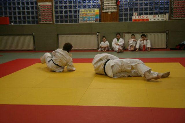 Judolehrgang Bodentechniken / SV / Treechallenge