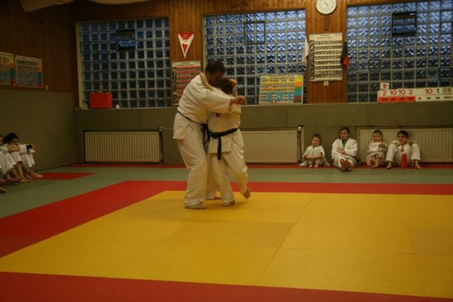 Judolehrgang Bodentechniken / SV / Treechallenge