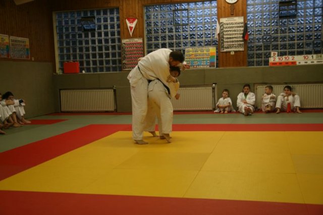 Judolehrgang Bodentechniken / SV / Treechallenge