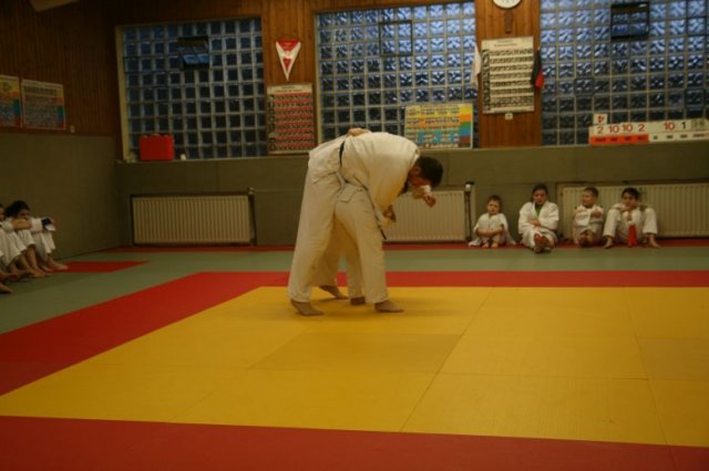 Judolehrgang Bodentechniken / SV / Treechallenge