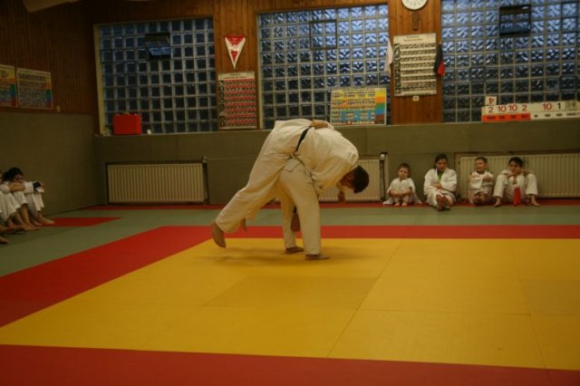 Judolehrgang Bodentechniken / SV / Treechallenge