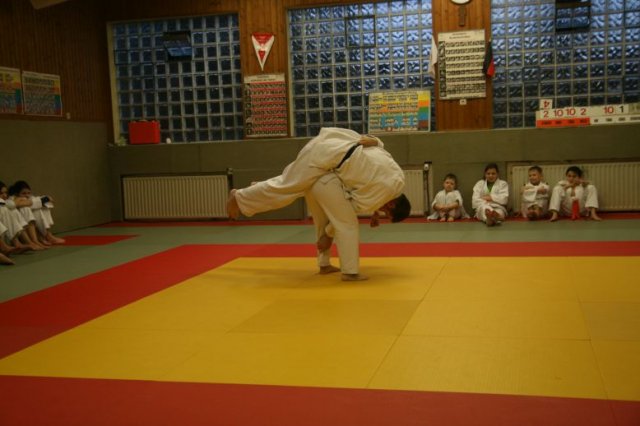 Judolehrgang Bodentechniken / SV / Treechallenge