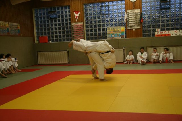 Judolehrgang Bodentechniken / SV / Treechallenge