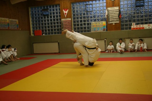 Judolehrgang Bodentechniken / SV / Treechallenge