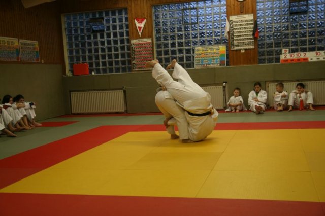 Judolehrgang Bodentechniken / SV / Treechallenge