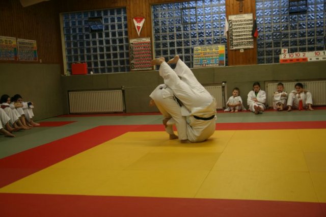 Judolehrgang Bodentechniken / SV / Treechallenge