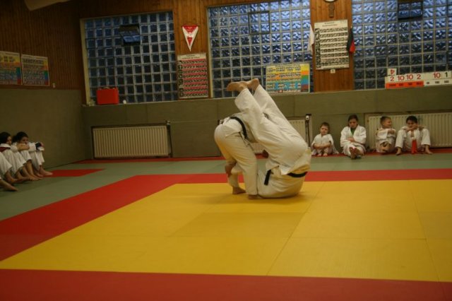 Judolehrgang Bodentechniken / SV / Treechallenge