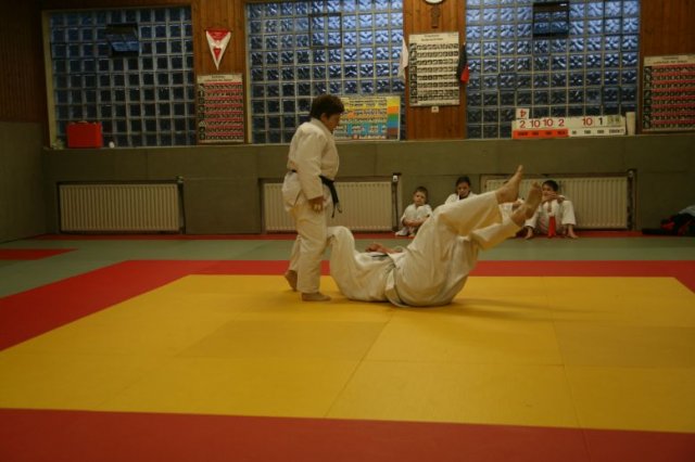 Judolehrgang Bodentechniken / SV / Treechallenge