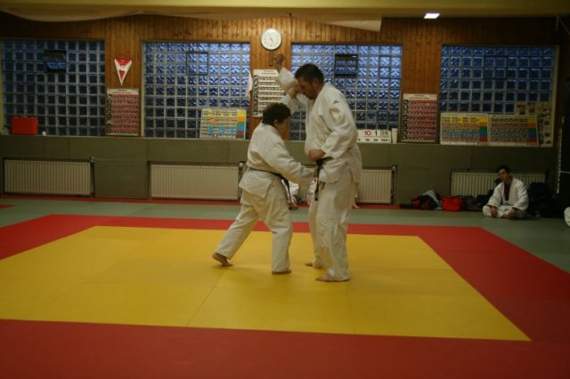 Judolehrgang Bodentechniken / SV / Treechallenge