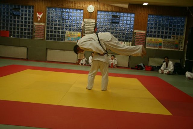 Judolehrgang Bodentechniken / SV / Treechallenge