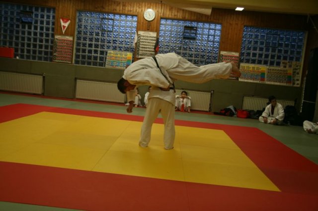 Judolehrgang Bodentechniken / SV / Treechallenge