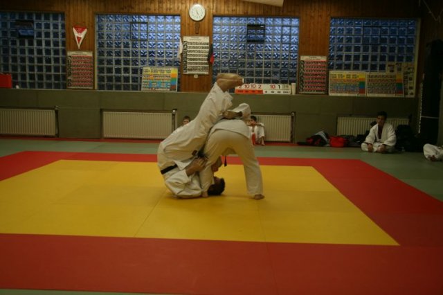 Judolehrgang Bodentechniken / SV / Treechallenge