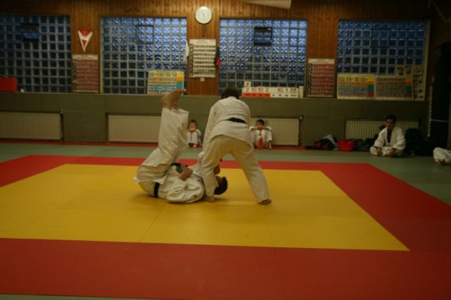 Judolehrgang Bodentechniken / SV / Treechallenge