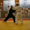 Judolehrgang Bodentechniken / SV / Treechallenge