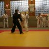 Judolehrgang Bodentechniken / SV / Treechallenge