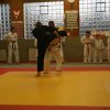 Judolehrgang Bodentechniken / SV / Treechallenge