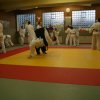 Judolehrgang Bodentechniken / SV / Treechallenge