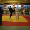 Judolehrgang Bodentechniken / SV / Treechallenge