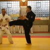 Judolehrgang Bodentechniken / SV / Treechallenge