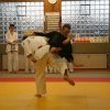 Judolehrgang Bodentechniken / SV / Treechallenge