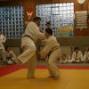 Judolehrgang Bodentechniken / SV / Treechallenge