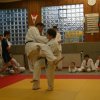 Judolehrgang Bodentechniken / SV / Treechallenge