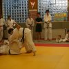 Judolehrgang Bodentechniken / SV / Treechallenge