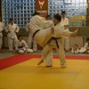 Judolehrgang Bodentechniken / SV / Treechallenge