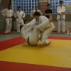 Judolehrgang Bodentechniken / SV / Treechallenge