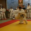 Judolehrgang Bodentechniken / SV / Treechallenge