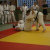 Judolehrgang Bodentechniken / SV / Treechallenge