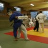 Judolehrgang Bodentechniken / SV / Treechallenge