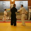 Judolehrgang Bodentechniken / SV / Treechallenge