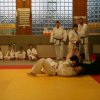 Judolehrgang Bodentechniken / SV / Treechallenge