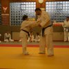 Judolehrgang Bodentechniken / SV / Treechallenge