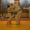 Judolehrgang Bodentechniken / SV / Treechallenge