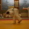 Judolehrgang Bodentechniken / SV / Treechallenge